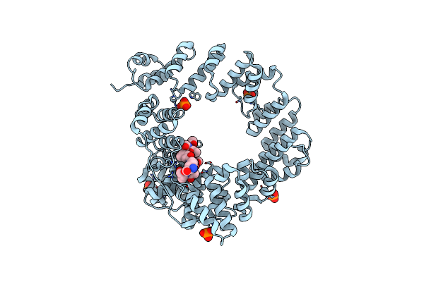 6FBT image