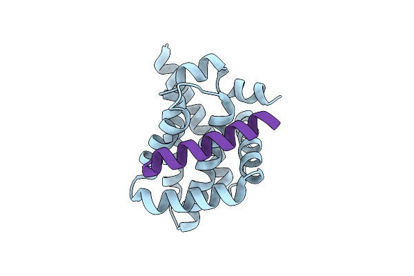 6FBX image