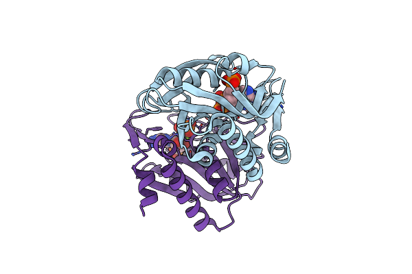 6FD6 image