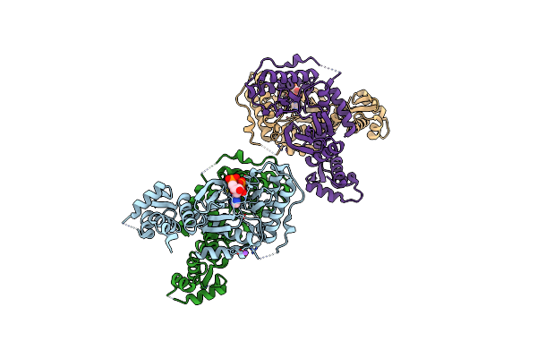 6FDM image