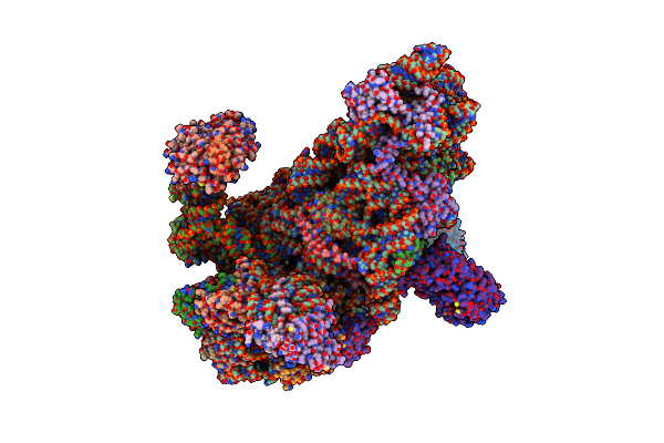 6FEC image