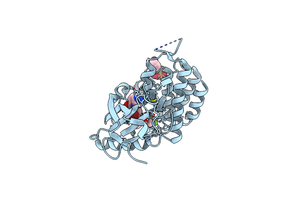 6FEX image