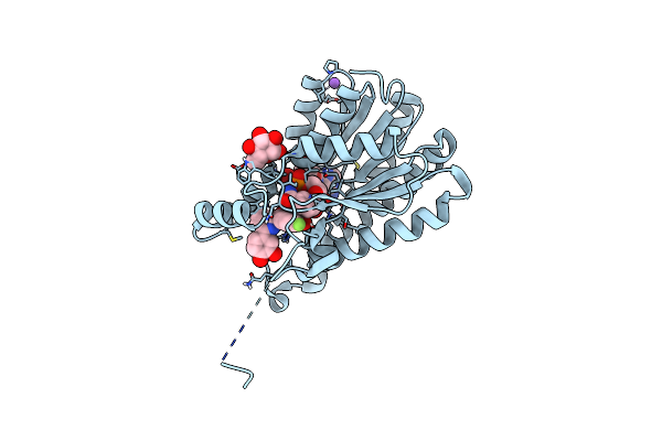 6FFB image