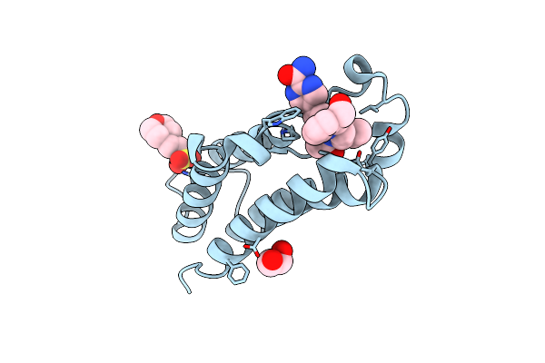 6FFF image