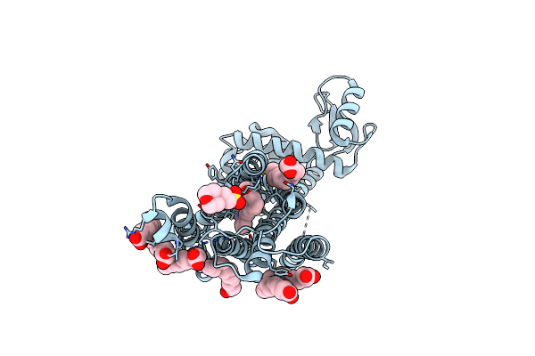 6FFI image