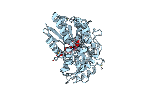 6FFL image