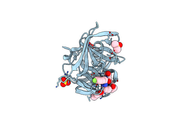 6FFN image