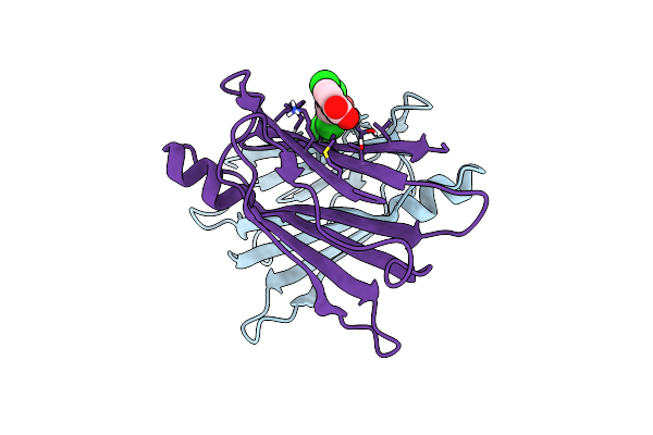 6FFT image
