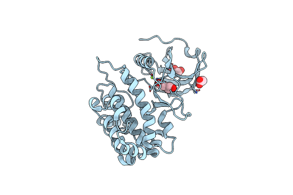 6FHB image
