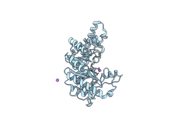 6FHF image