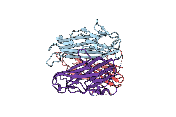 6FIB image