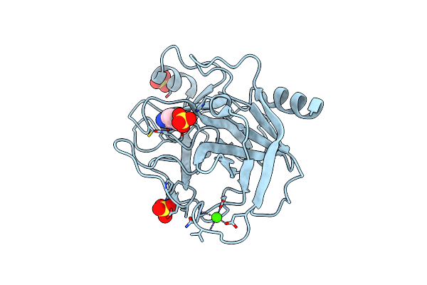 6FID image