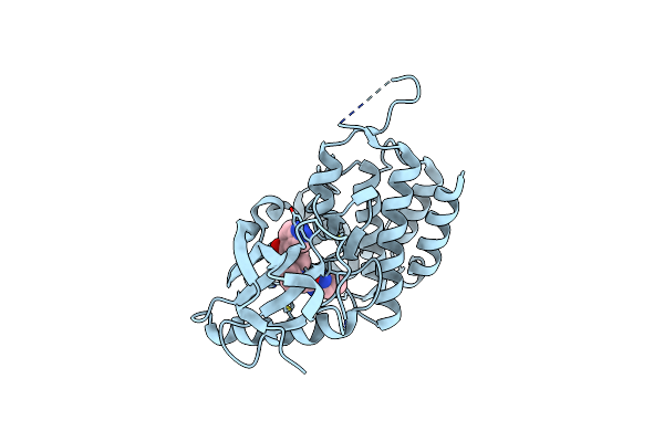 6FIN image