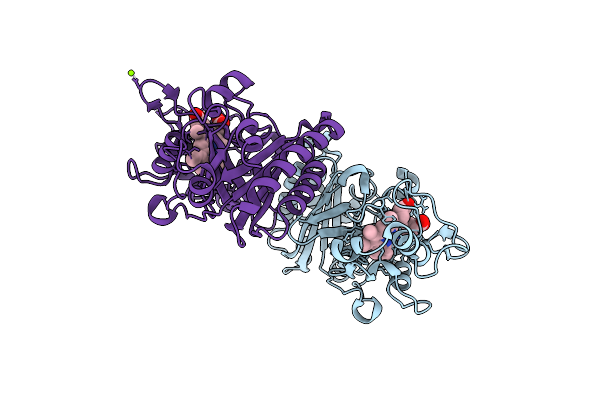 6FKT image