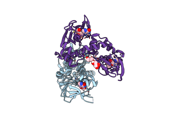 6FLO image