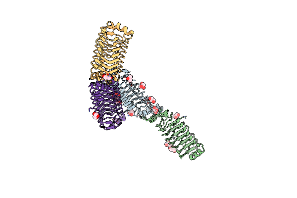 6FLS image