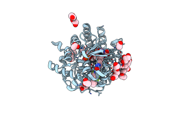6FMD image