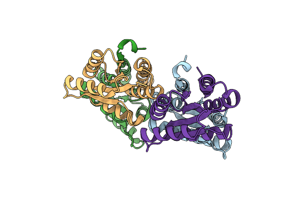 6FMG image