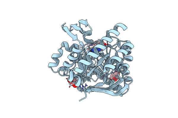 6FMN image