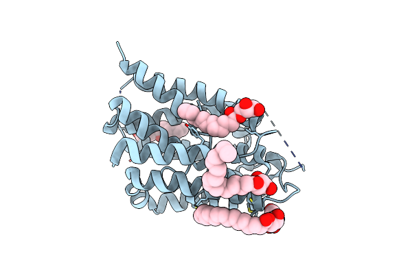 6FMT image
