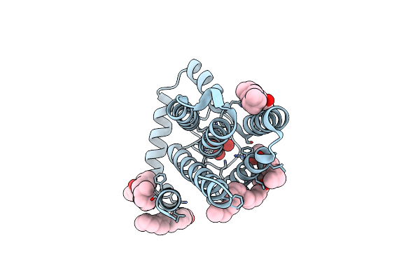 6FMX image