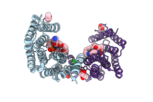 6FNA image