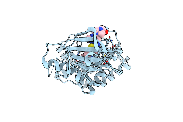 6FNM image
