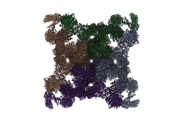 6FOO image