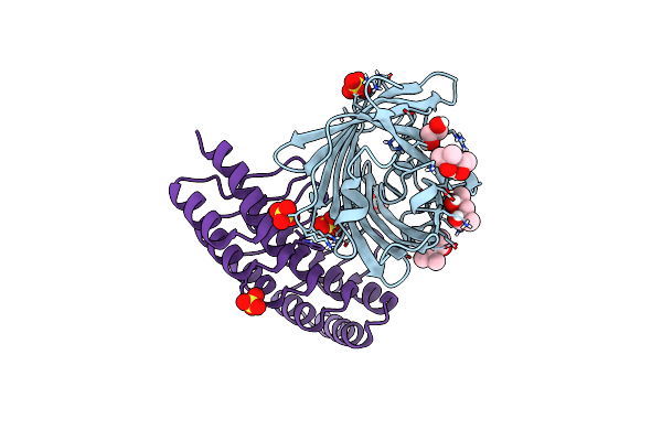 6FP8 image
