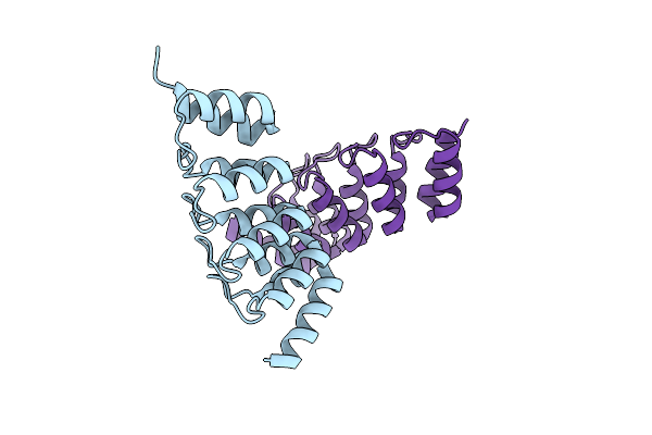 6FPA image