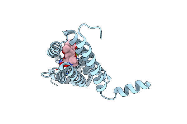 6FPM image