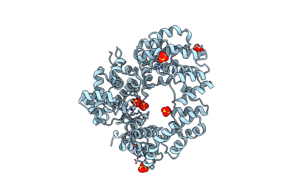 6FPN image