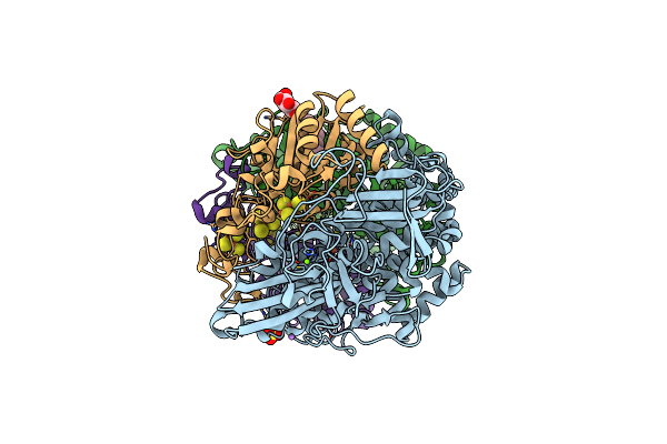 6FPO image