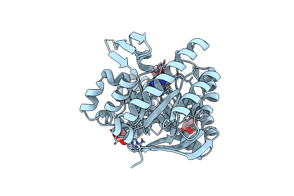 6FPU image
