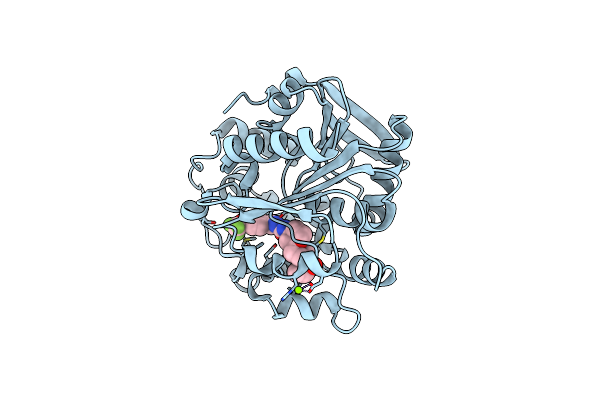6FR2 image