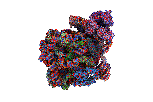 6FRK image