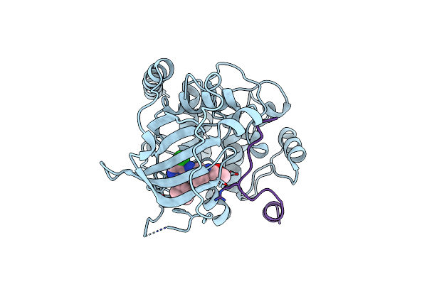 6FRX image