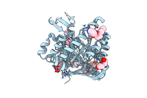 6FSO image