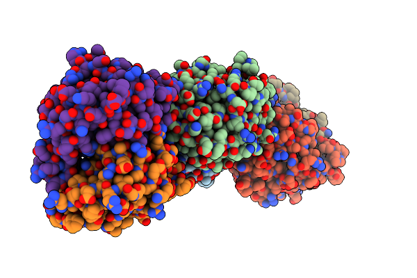 6FSP image