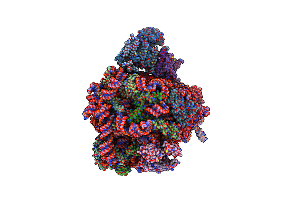 6FTG image