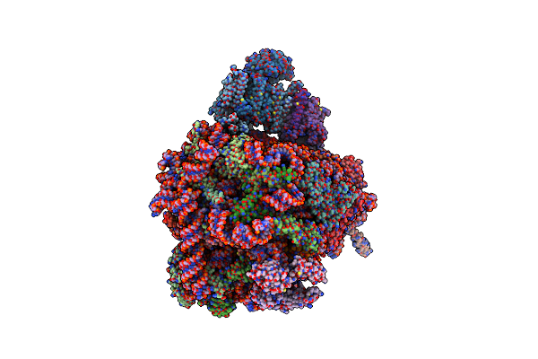 6FTI image
