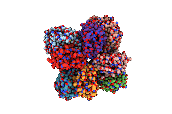 6FTL image