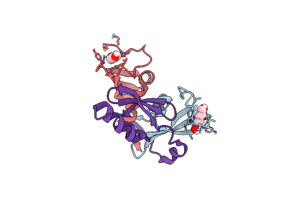 6FTO image