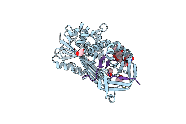 6FTP image