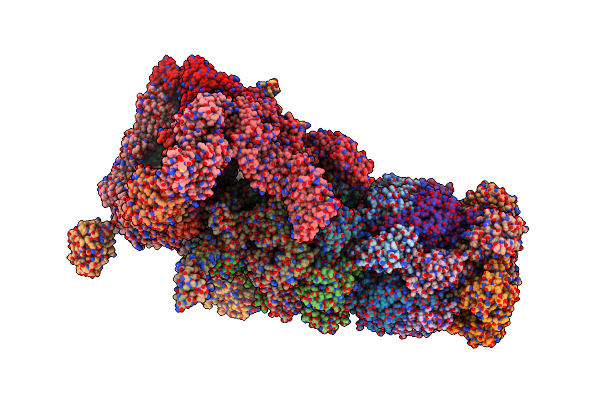 6FVT image