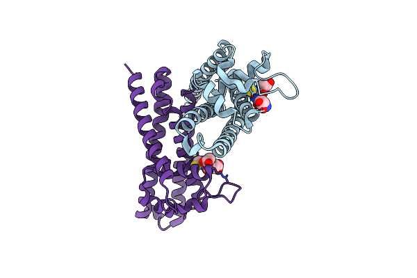 6FXE image