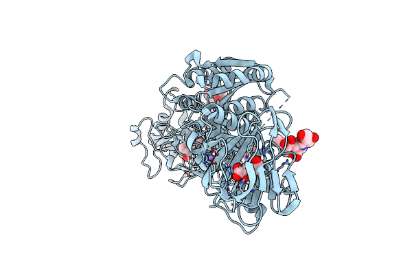 6FXM image