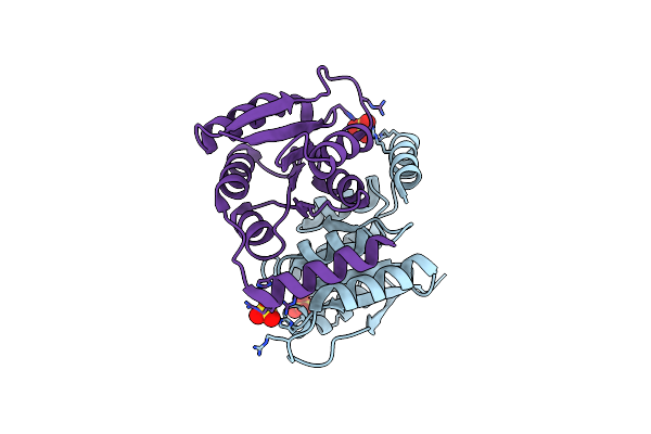 6FXS image
