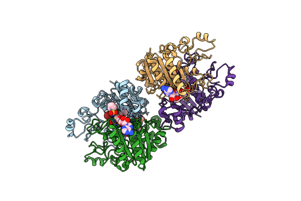 6FY4 image