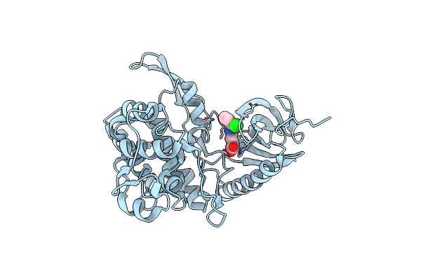6FYP image